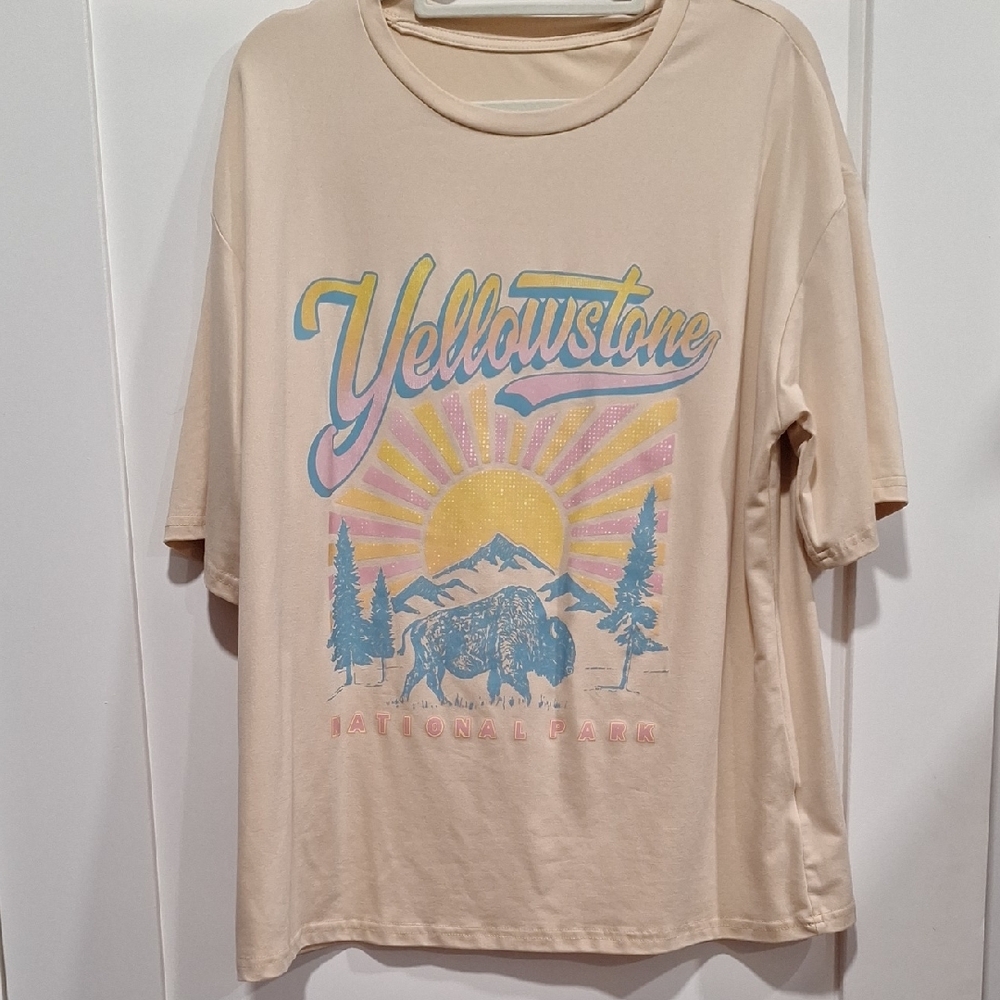 SHEIN Cream and Blue Short Sleeve Tees Casual Style